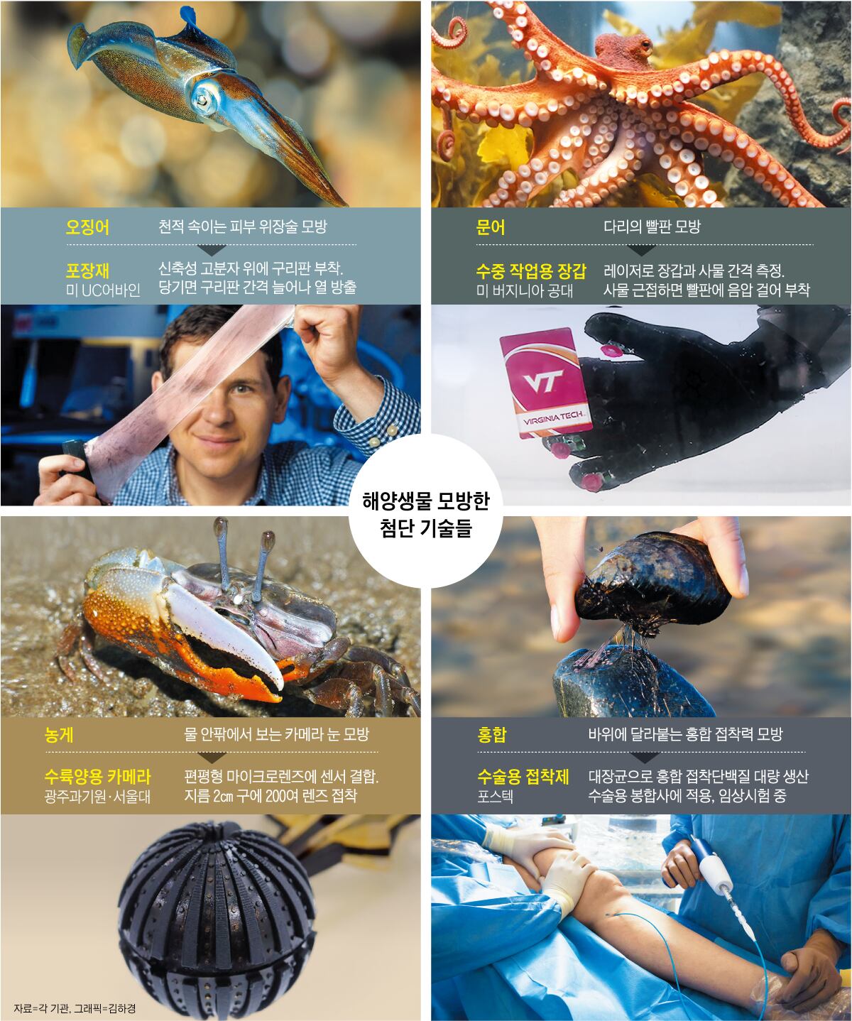 바다기술 이미지