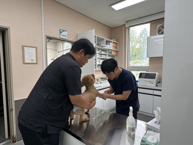 수동물병원 이미지