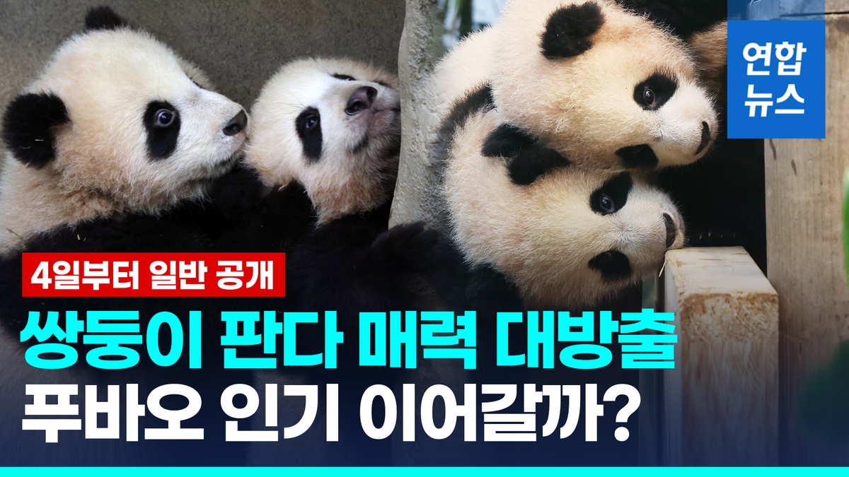 쌍둥이바위 이미지