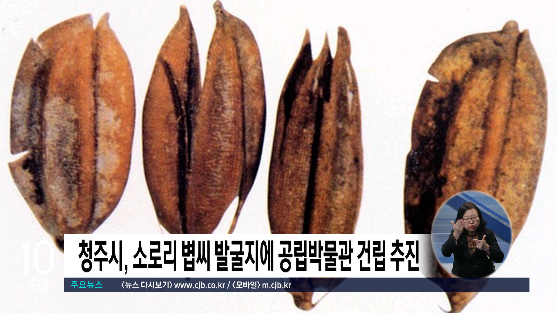 청주시, 소로리 볍씨 발굴지에 공립박물관 건립 추진