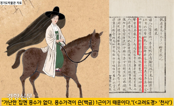 도경 이미지