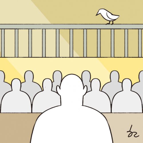 법무법인추양가을햇살 이미지
