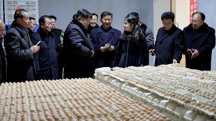닭공장 이미지