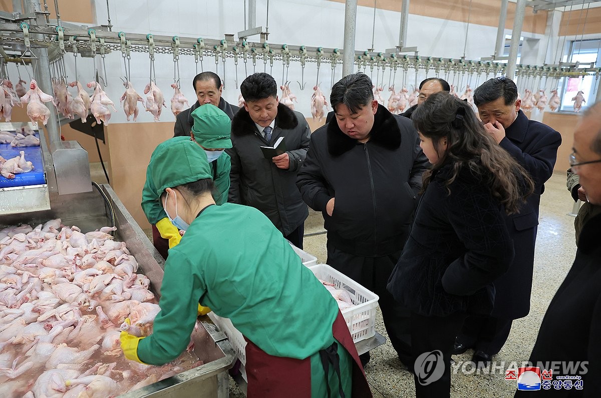 닭공장 이미지
