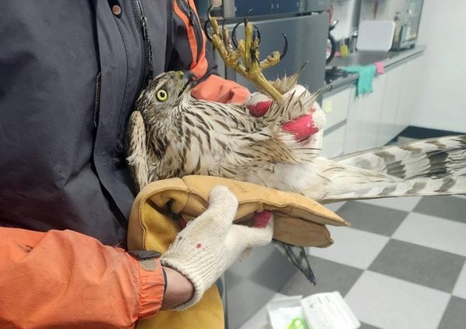 정읍농수산 이미지