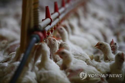 동우축산 이미지