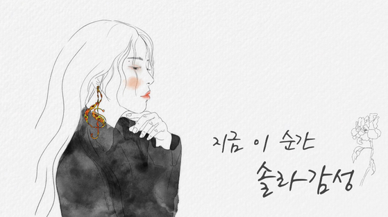 솔라 이미지