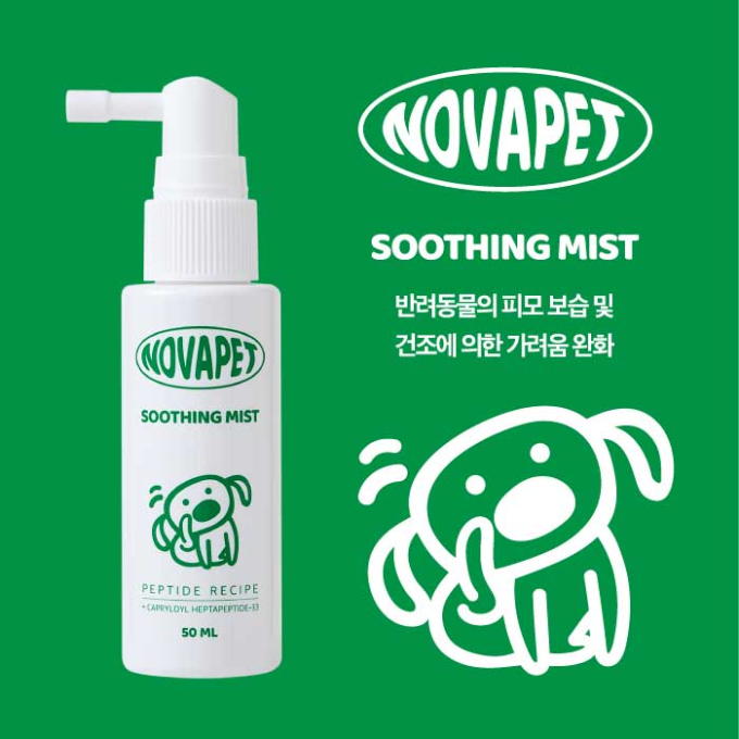 노바 이미지
