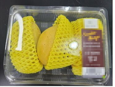 망고마트 이미지