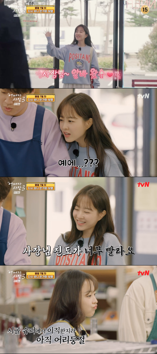 박보영김밥 이미지
