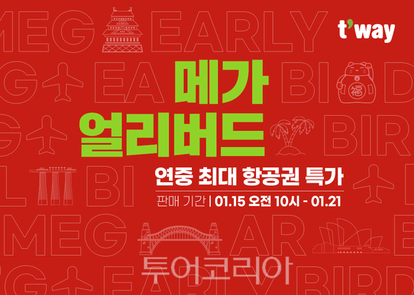 제주메가투어 이미지