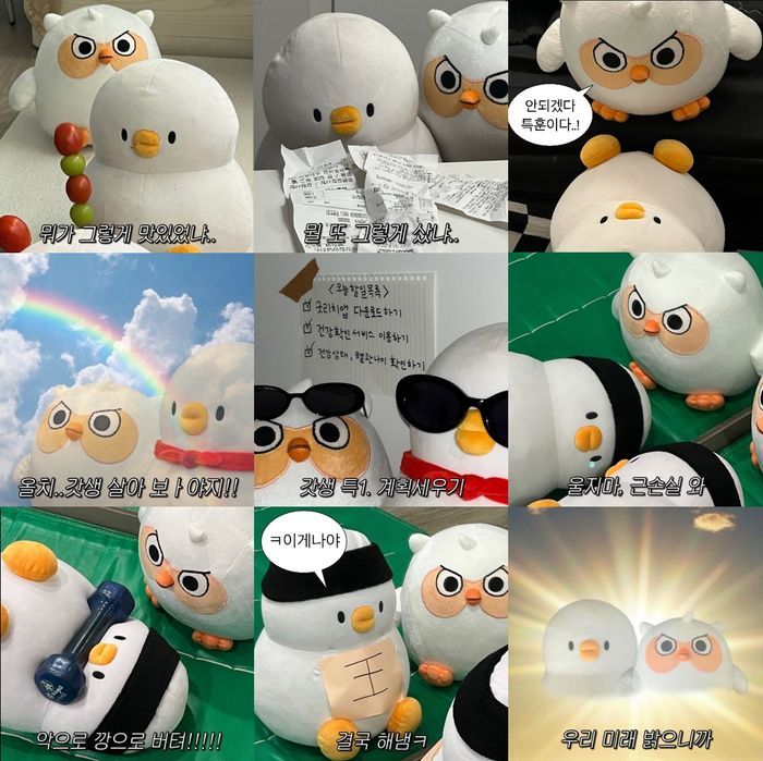 더오리 이미지