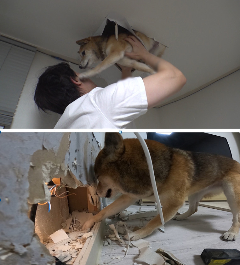 매일나무농장 이미지