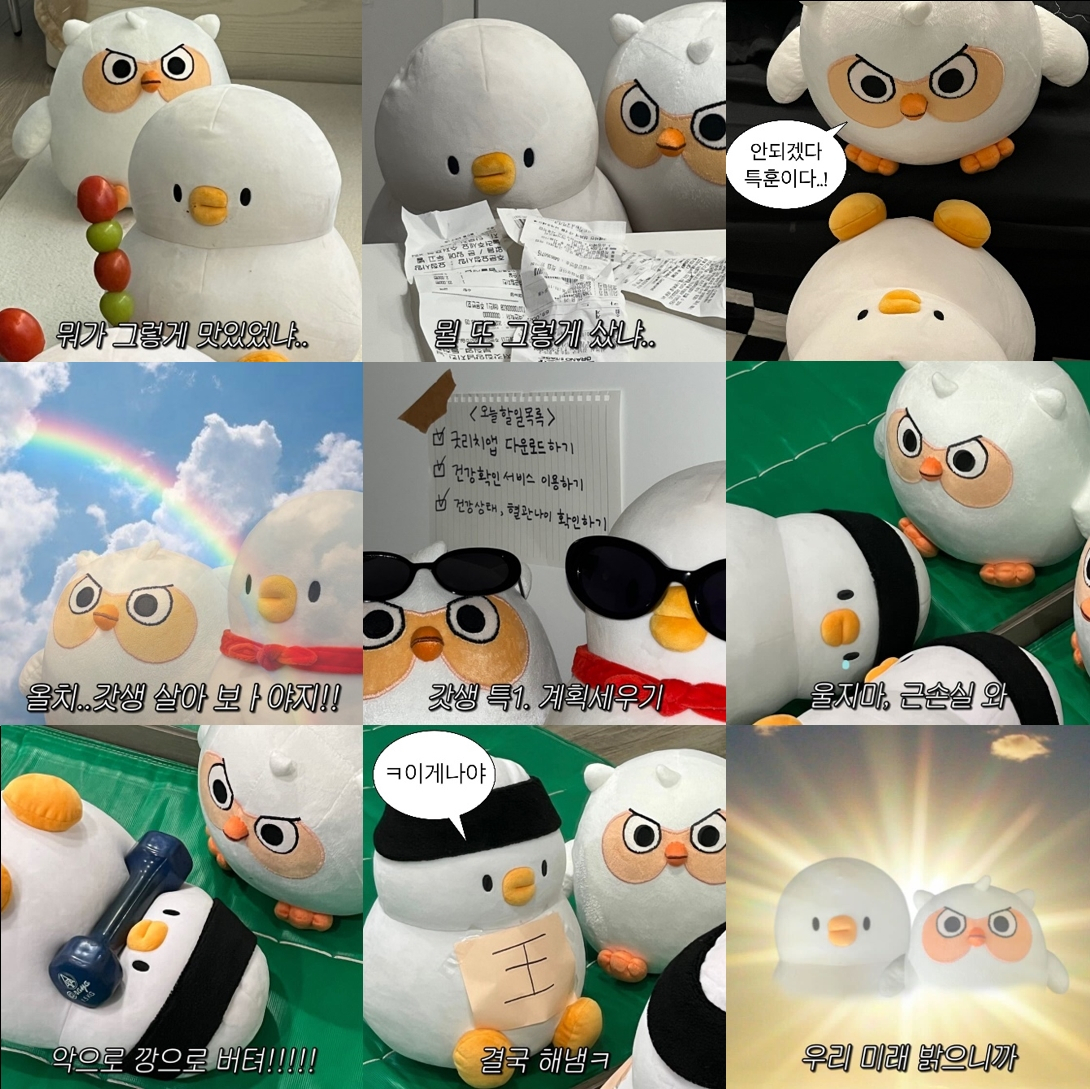 굿리치 이미지