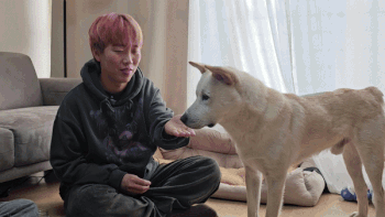 터치를 두려워하는 동경이를 위한 둔감화 교육 장면. 동경이가 간식을 먹을 때 스스로 사람 손에 닿도록 유도하는 것이 핵심이다. 최민석 기자