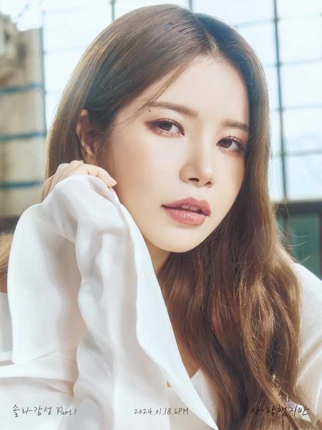 솔라 이미지