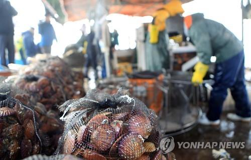 경남가리비수하식수산업협동조합 이미지