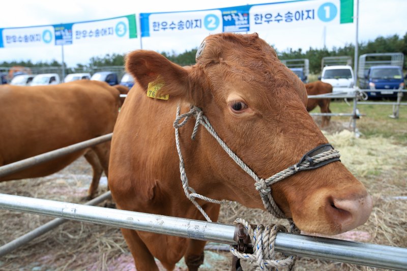 스탁키퍼 이미지