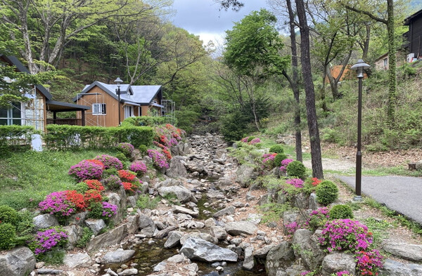 용인 가볼만한 곳 추천 BEST 7 (+숨은 명소) | 여행톡톡