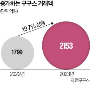 구구스 이미지