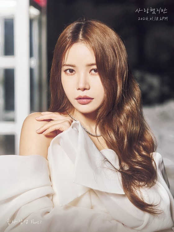 솔라 이미지