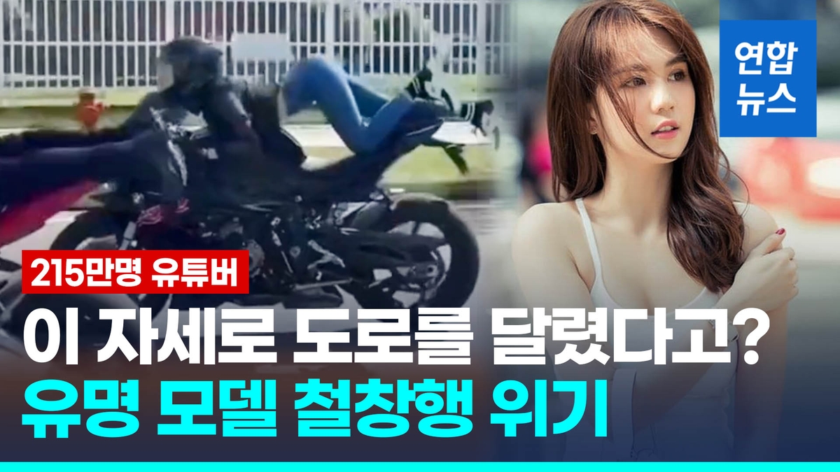 바이서 이미지