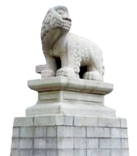 이다방 이미지