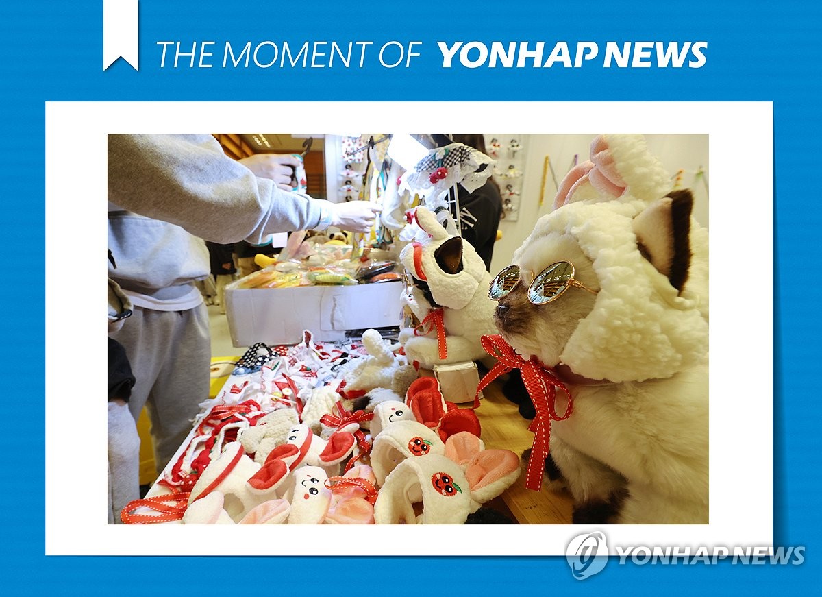 모멘트 이미지