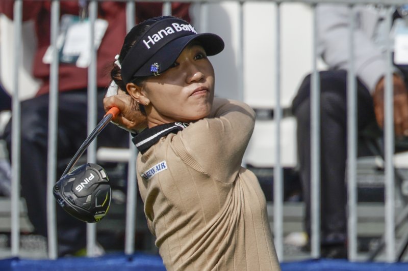 고다시 이미지