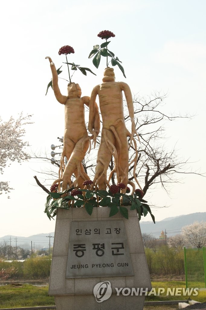 고려인삼쎈타 이미지