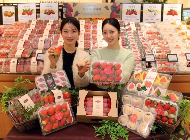 홍희푸드 이미지