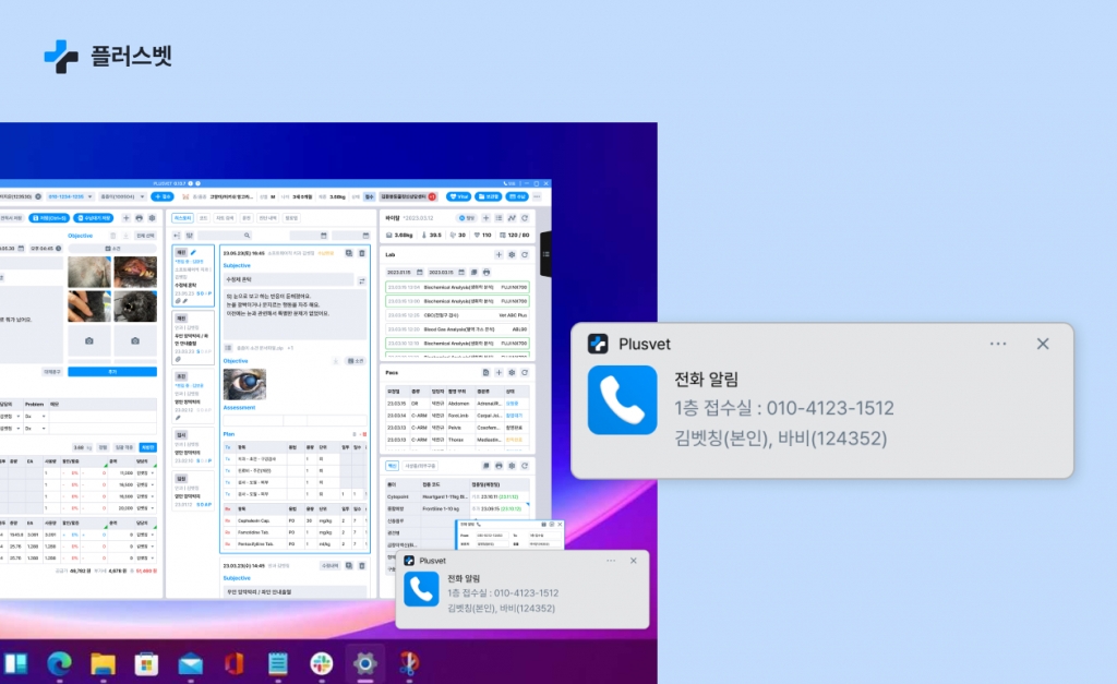 벳 이미지
