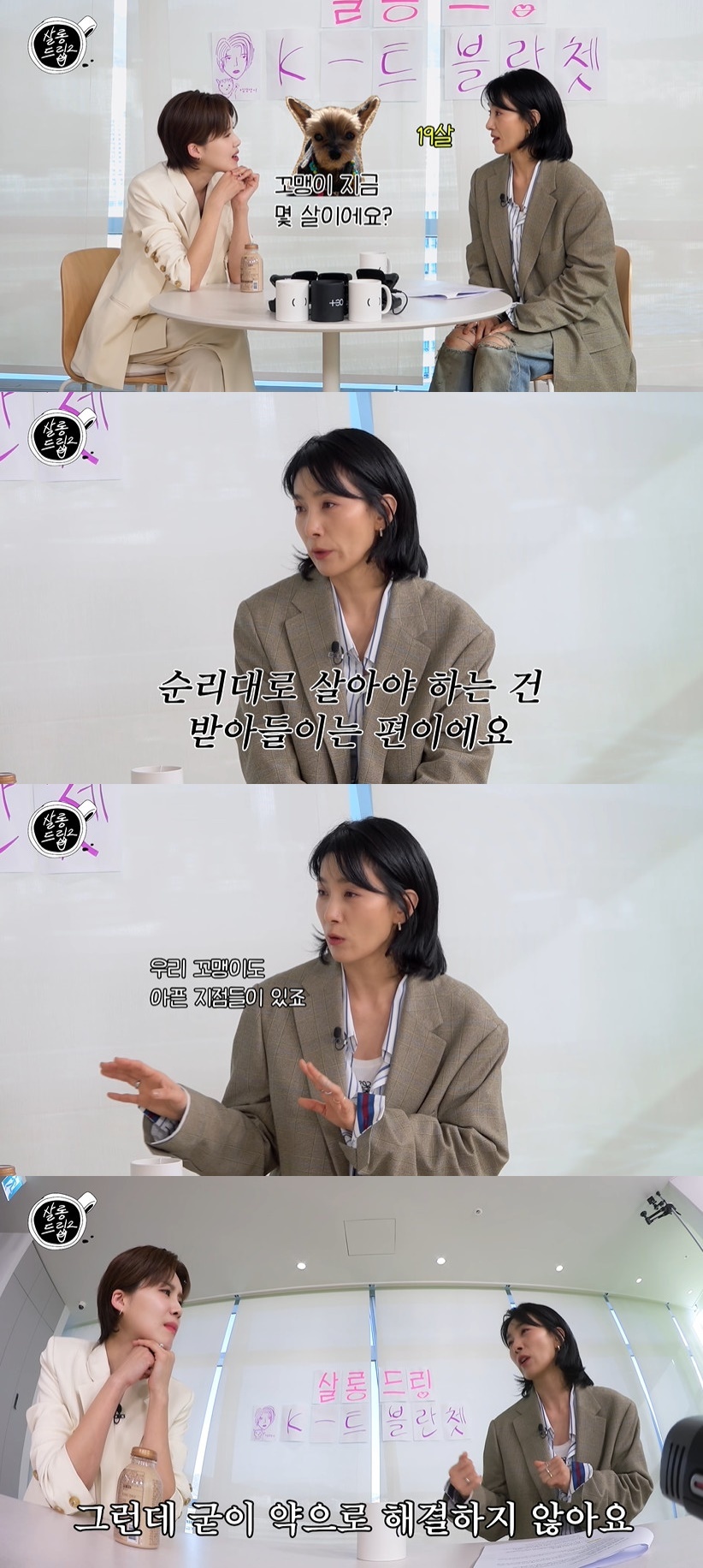 살롱데이즈 이미지
