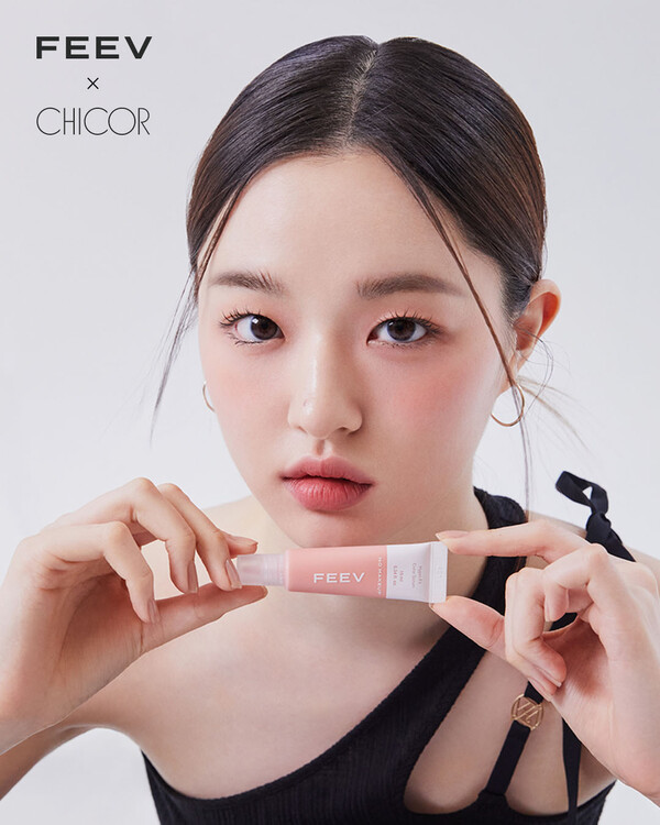 피브 이미지