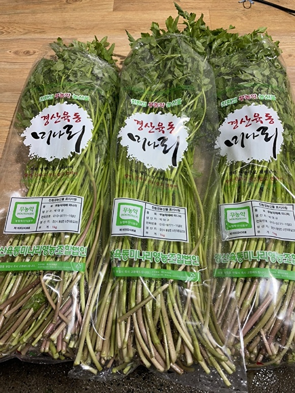 육동 이미지