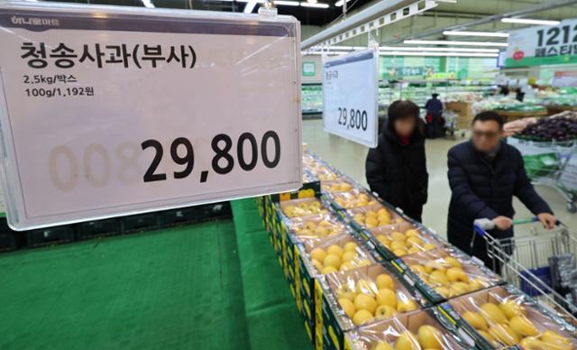 과일판다 이미지