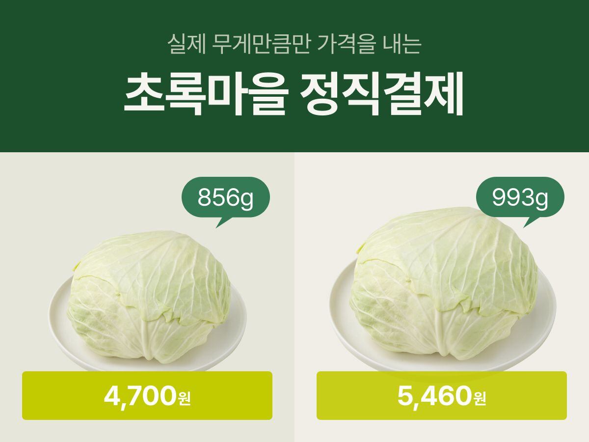 초록도 이미지