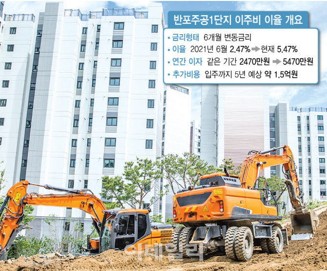 부메랑 이미지