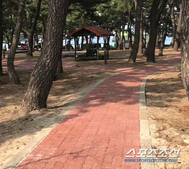 (주)동선관광 이미지