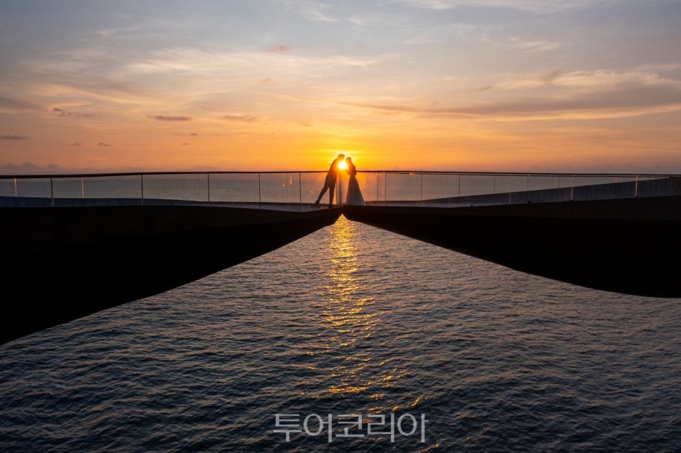 카사몬 이미지