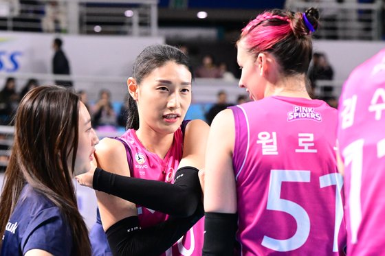 윌로우 이미지