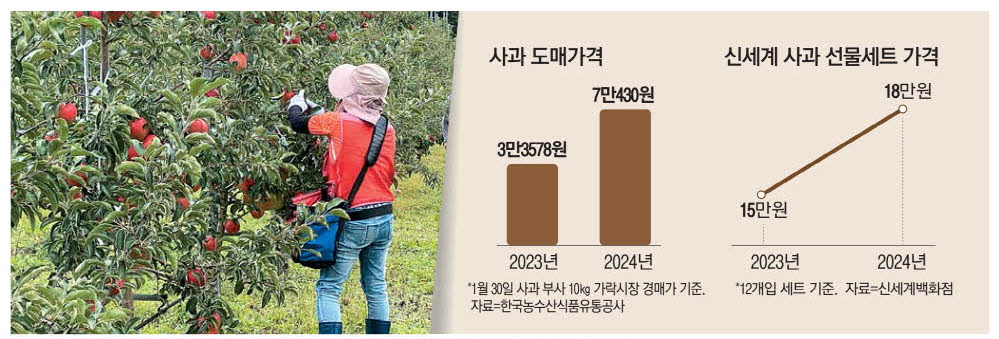 나린이네 사과 이미지