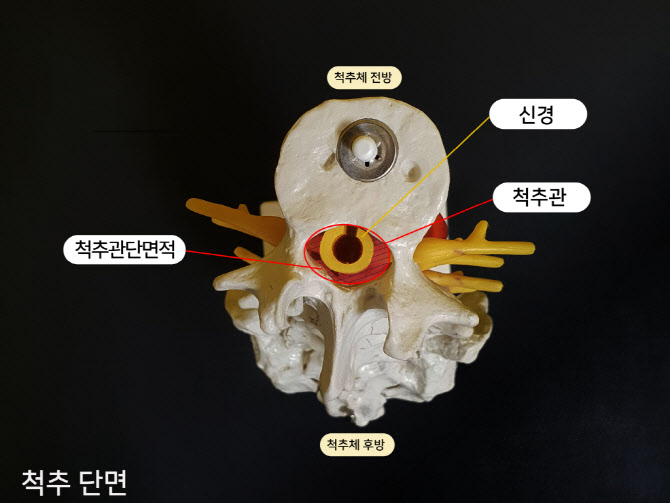 조제호 이미지