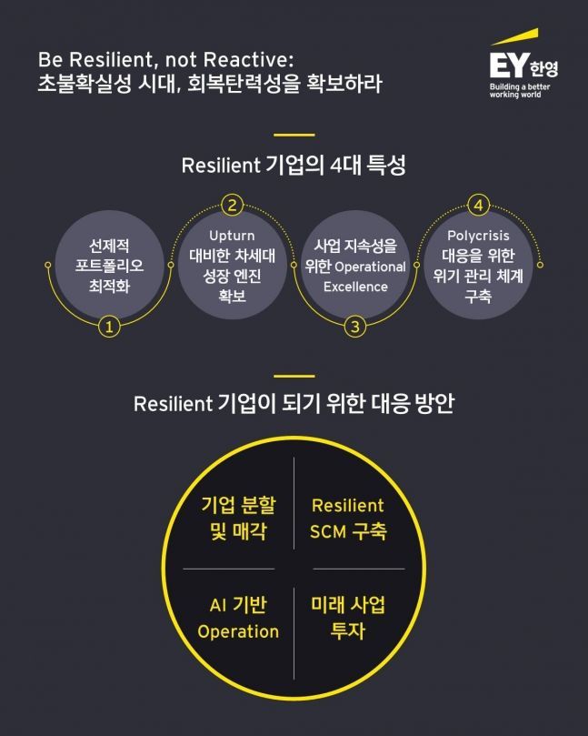 한영 이미지