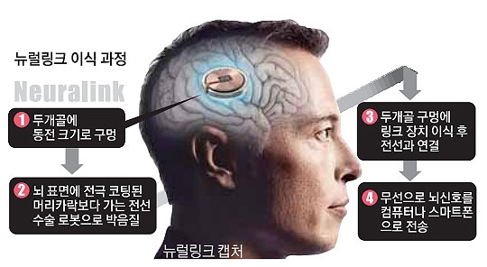 꽂다 이미지
