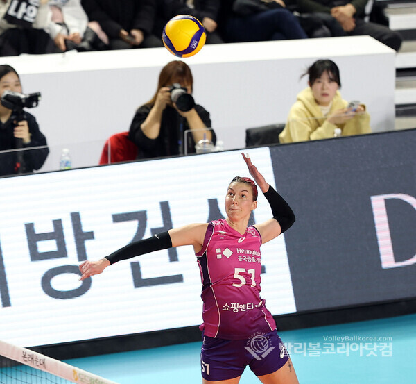윌로우 이미지
