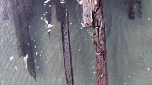 캐나다 어촌마을 케이프레이 해안에서 목격된 난파선. 나무와 구리 못으로 만들어졌다. /Corey Purchase 유튜브