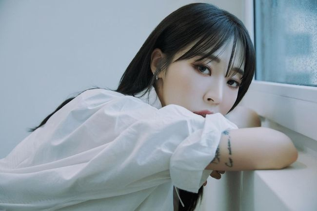 스타릿(starlit) 이미지
