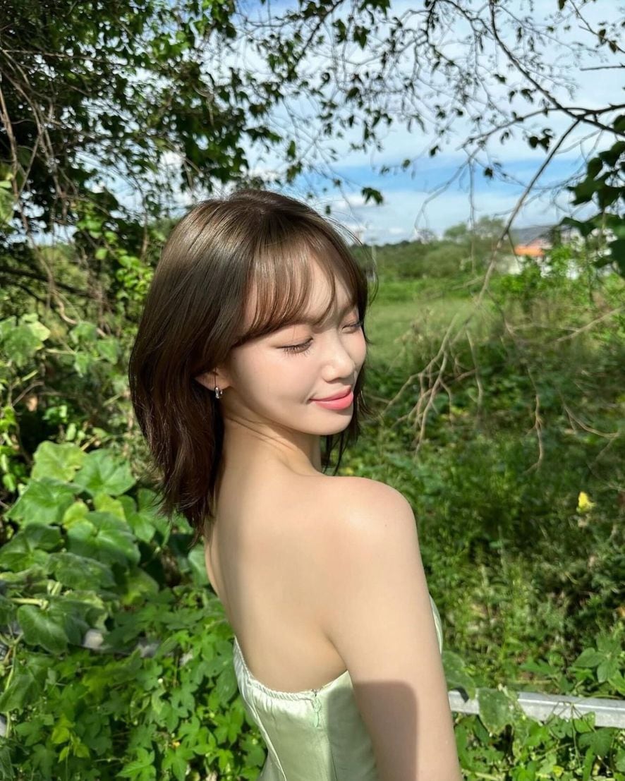 르무드헤어 이미지