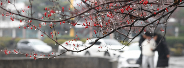 H.S울산 이미지